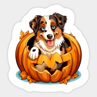 Australian Shepherd Dog inside Pumpkin #3 Sticker